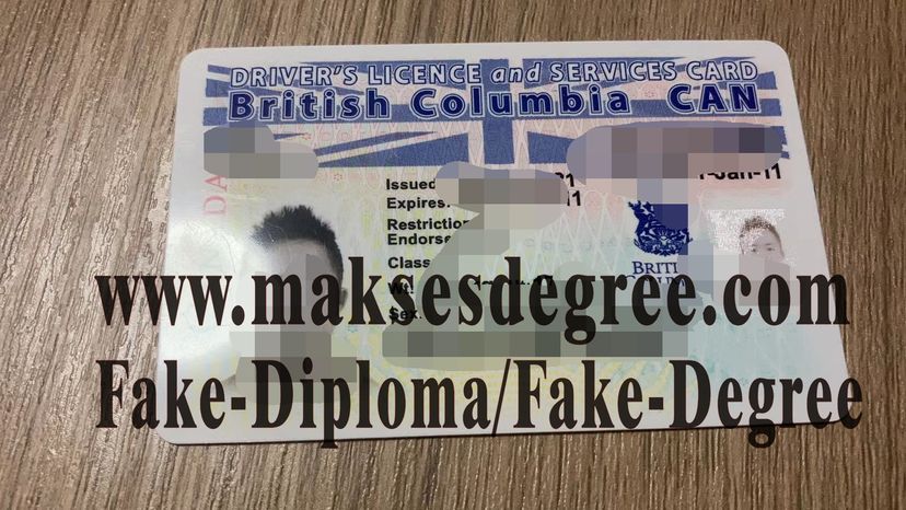 Best Fake British Columbia drivers license 