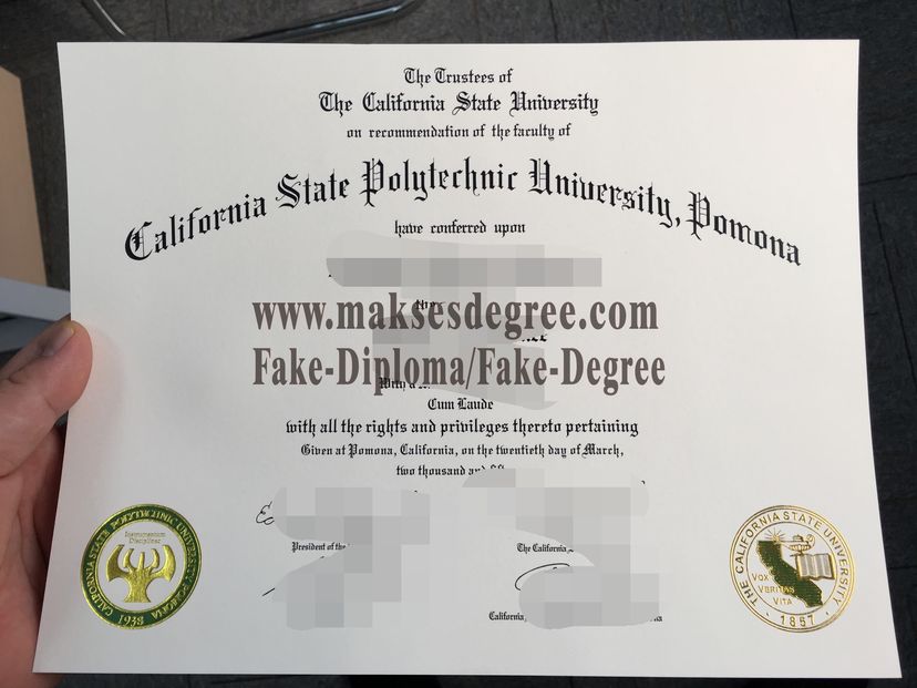 Best Fake California State University System Certificate