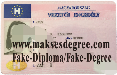 Buy fake Hungarian driving license