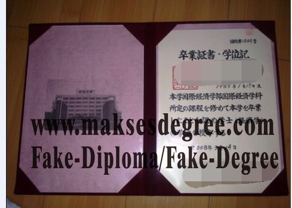 Copy Fake HAMAMATSU University Degree