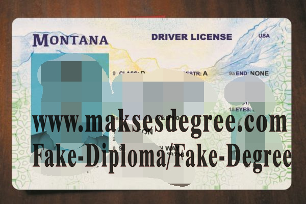 Copy Fake Montana Drivers License