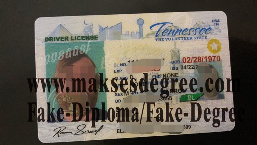 Copy Fake Tennessee Drivers License