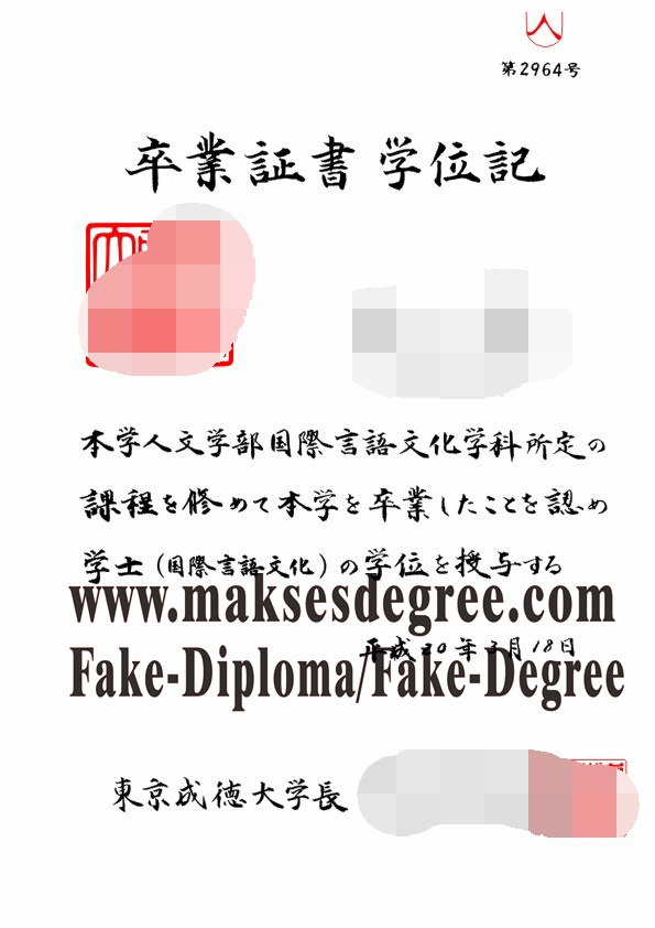 Copy Fake Tokyo Seitoku University Diploma