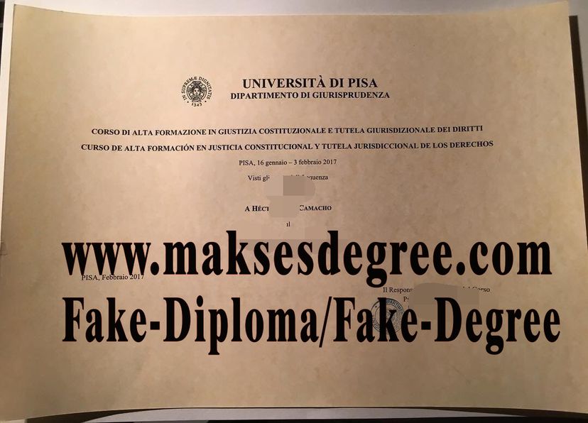 Copy Fake University of Pisa Certificate