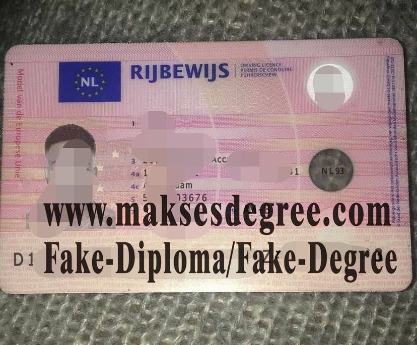 Fake Dutch driving license