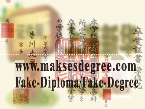 Fake Kagawa University Certificate