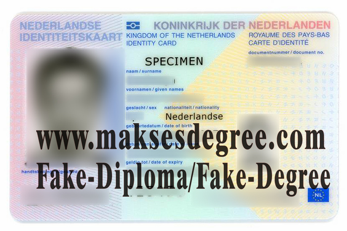 Fake Netherlands ID card