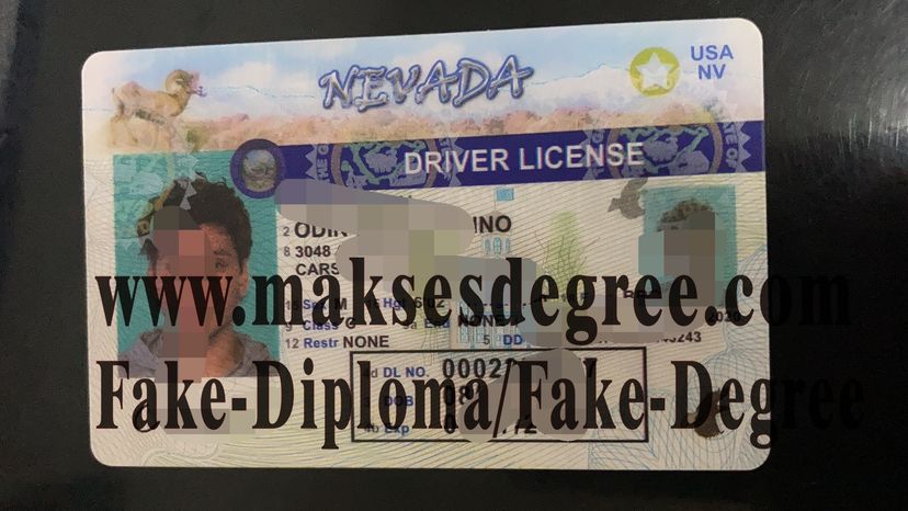 Fake Nevada drivers license