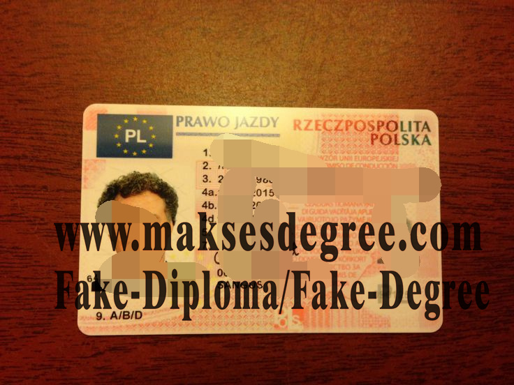 Fake Polish driving license