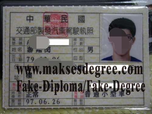 Fake Taiwan drivers license