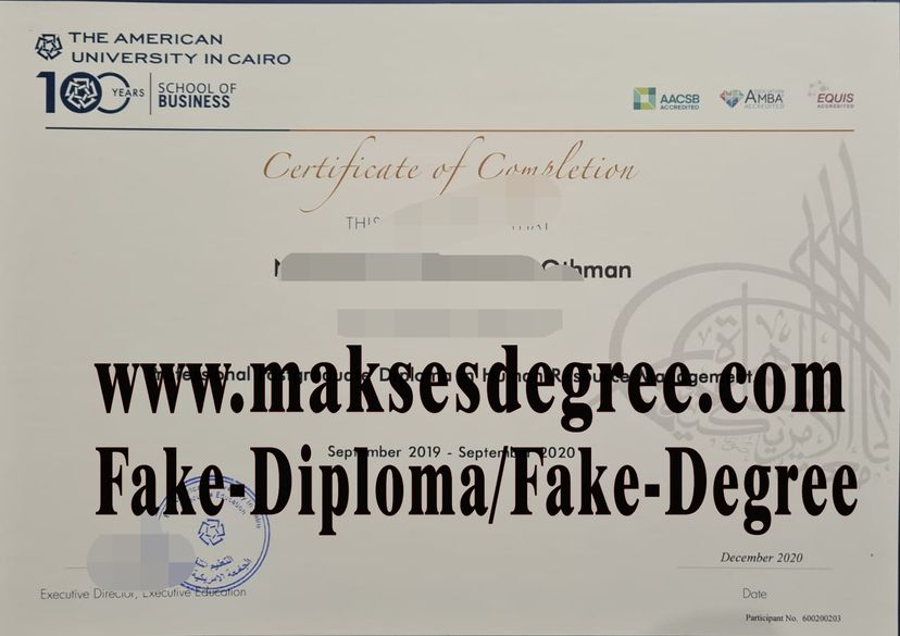 How to buy phony The American University in Cairo Diploma