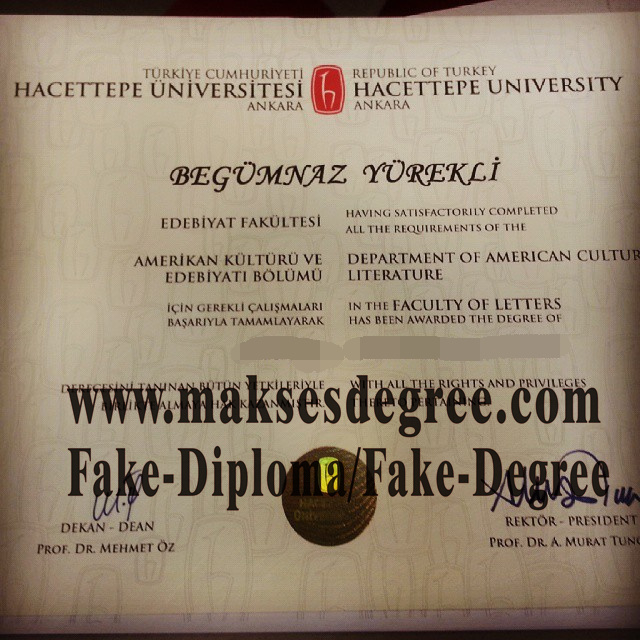 Purchase fake Hacettepe University Certificate