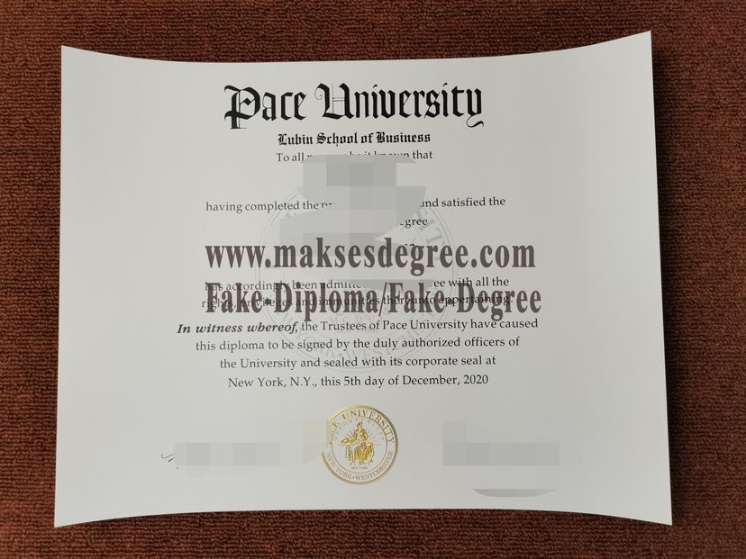 Replica Pace University Degree