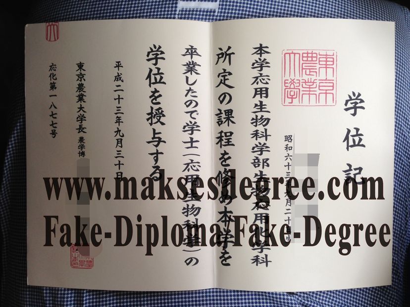 Replica Tokyo University of Agriculture Certificate