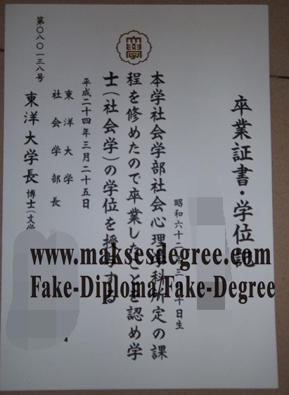 Replica Toyo University Degree